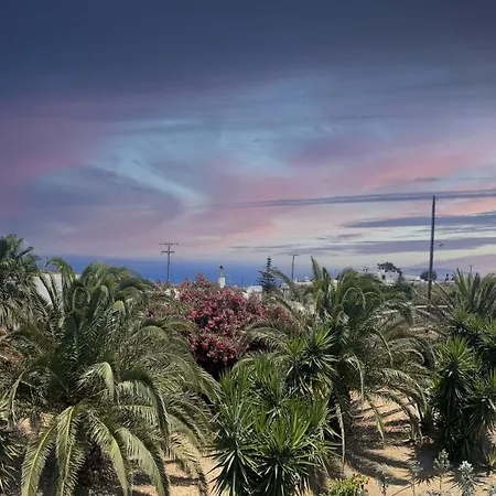 Ancient Meropia - Les Jardins Des Muses