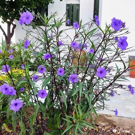 Ancient Meropia - Les Jardins Des Muses Apartment *