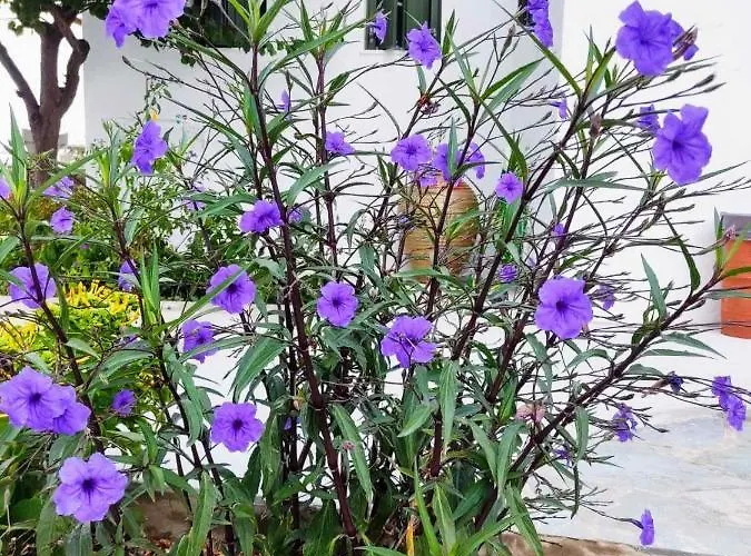 Ancient Meropia - Les Jardins Des Muses Apartmán *