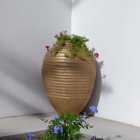 Appartement Ancient Meropia - Les Jardins Des Muses Apollonia