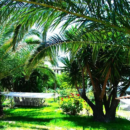 Ancient Meropia - Les Jardins Des Muses Apollonia