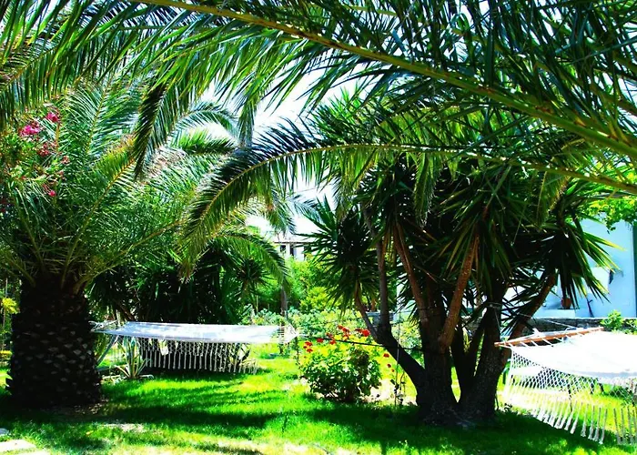 Ancient Meropia - Les Jardins Des Muses Apollonia